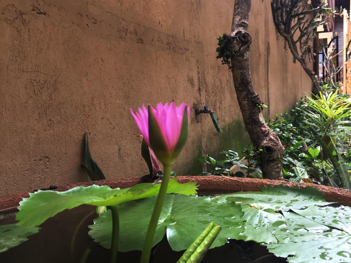 Bulan Bali Homestay أوبود المظهر الخارجي الصورة