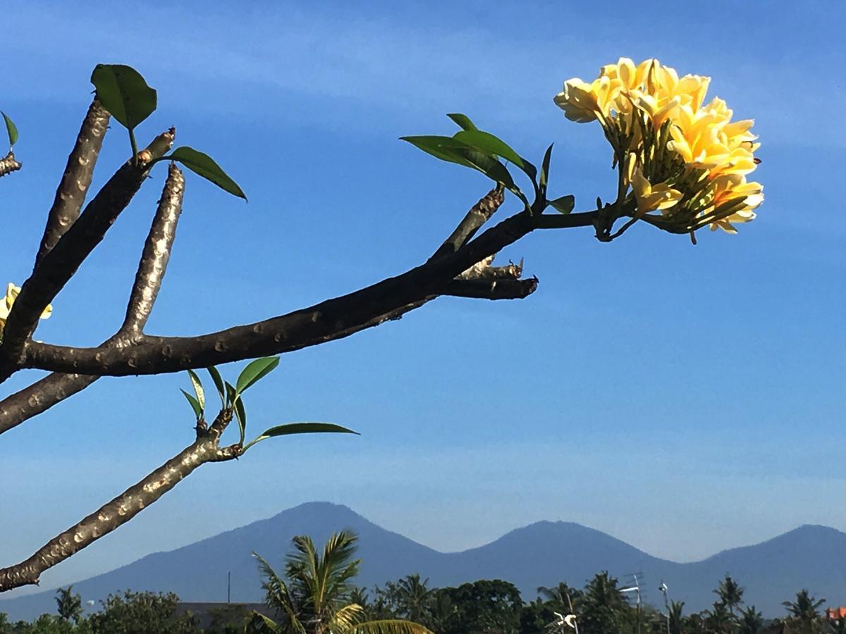 Bulan Bali Homestay أوبود المظهر الخارجي الصورة